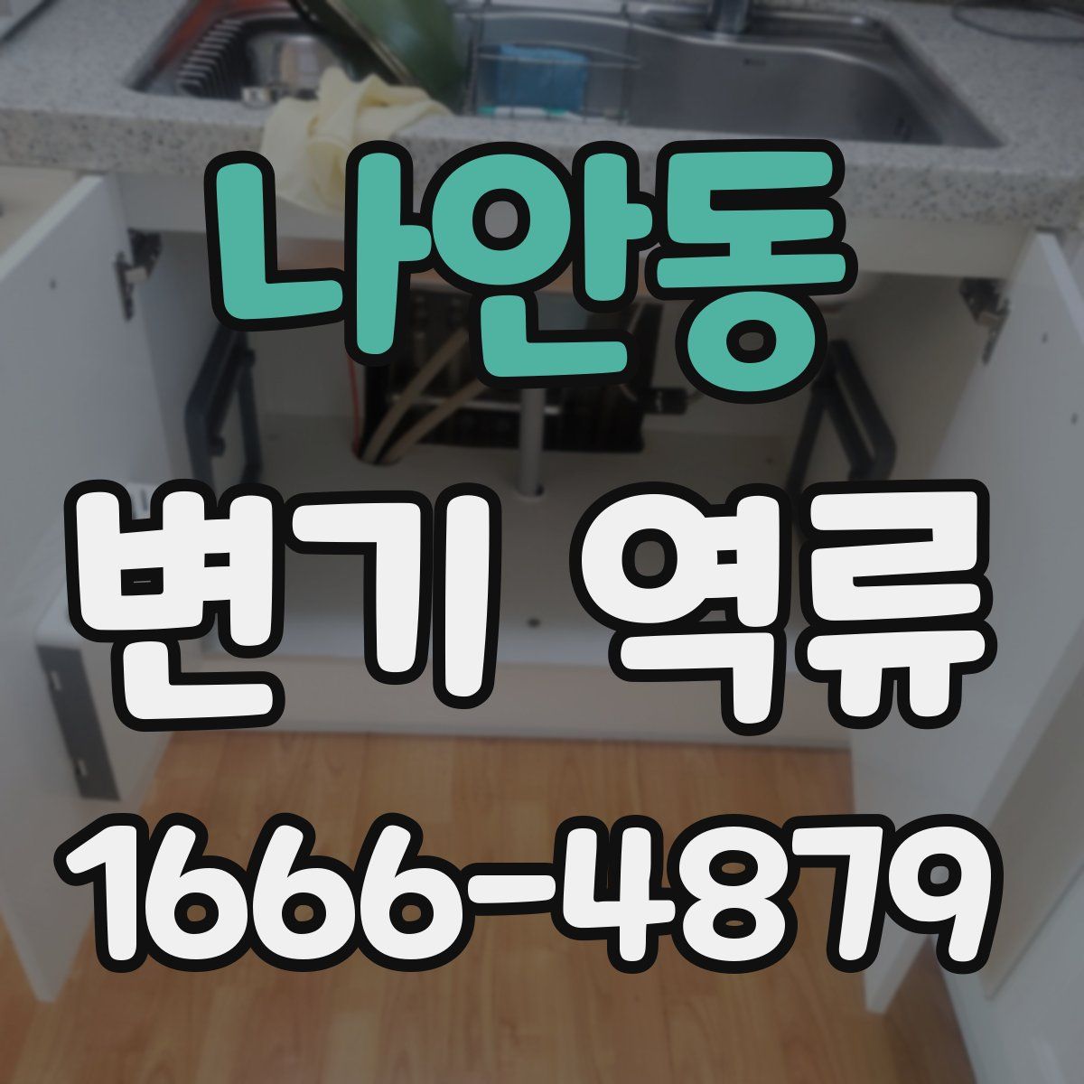 나안동 변기 역류