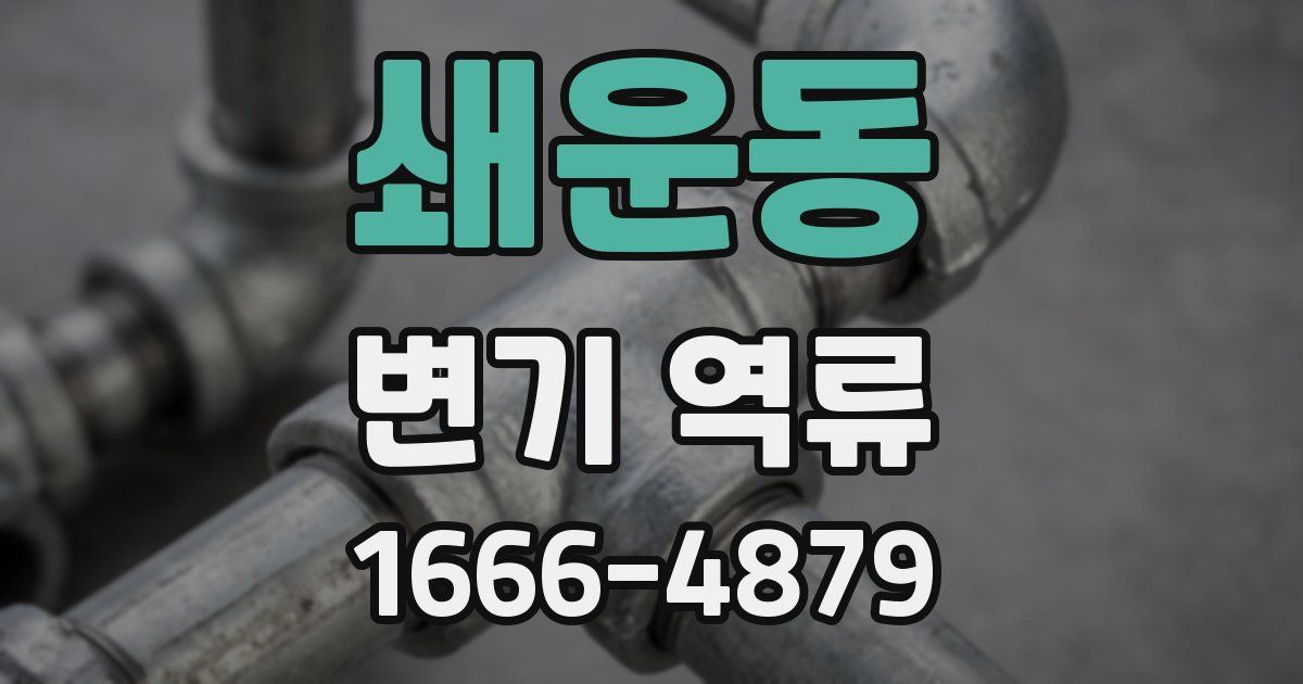 쇄운동 변기 역류