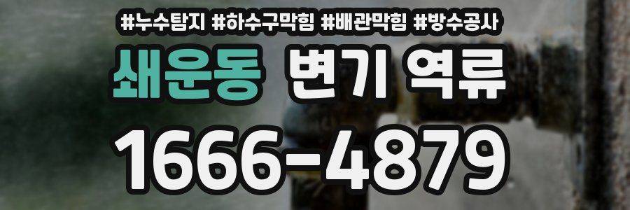 쇄운동 변기 역류
