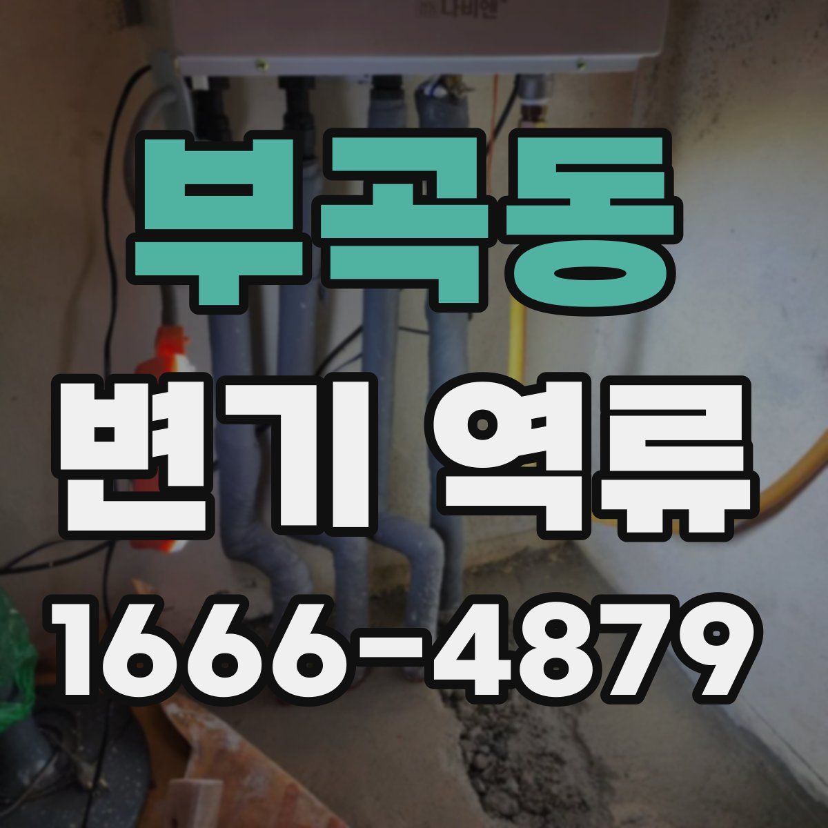 부곡동 변기 역류