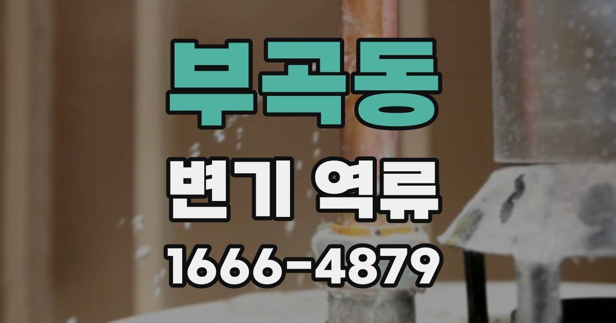 부곡동 변기 역류
