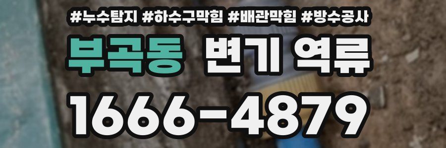 부곡동 변기 역류