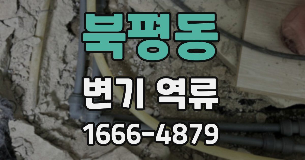 북평동 변기 역류
