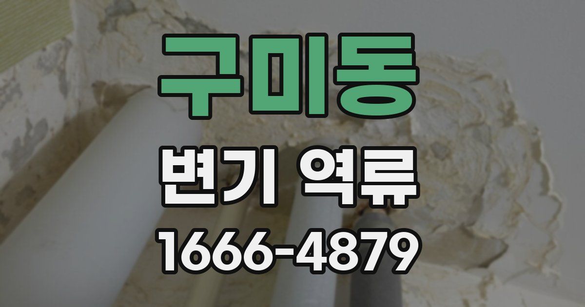 구미동 변기 역류