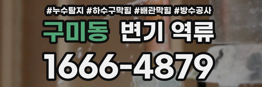 구미동 변기 역류