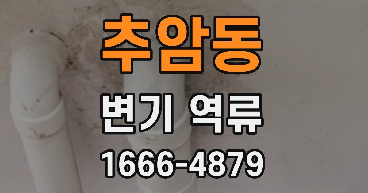 추암동 변기 역류