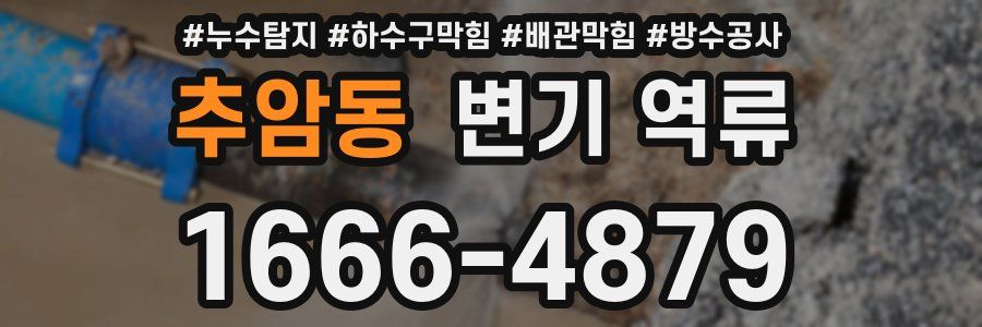 추암동 변기 역류