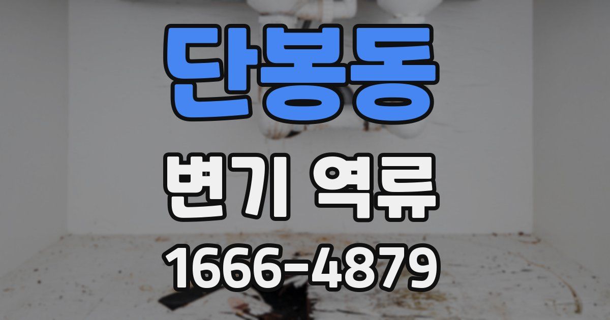 단봉동 변기 역류