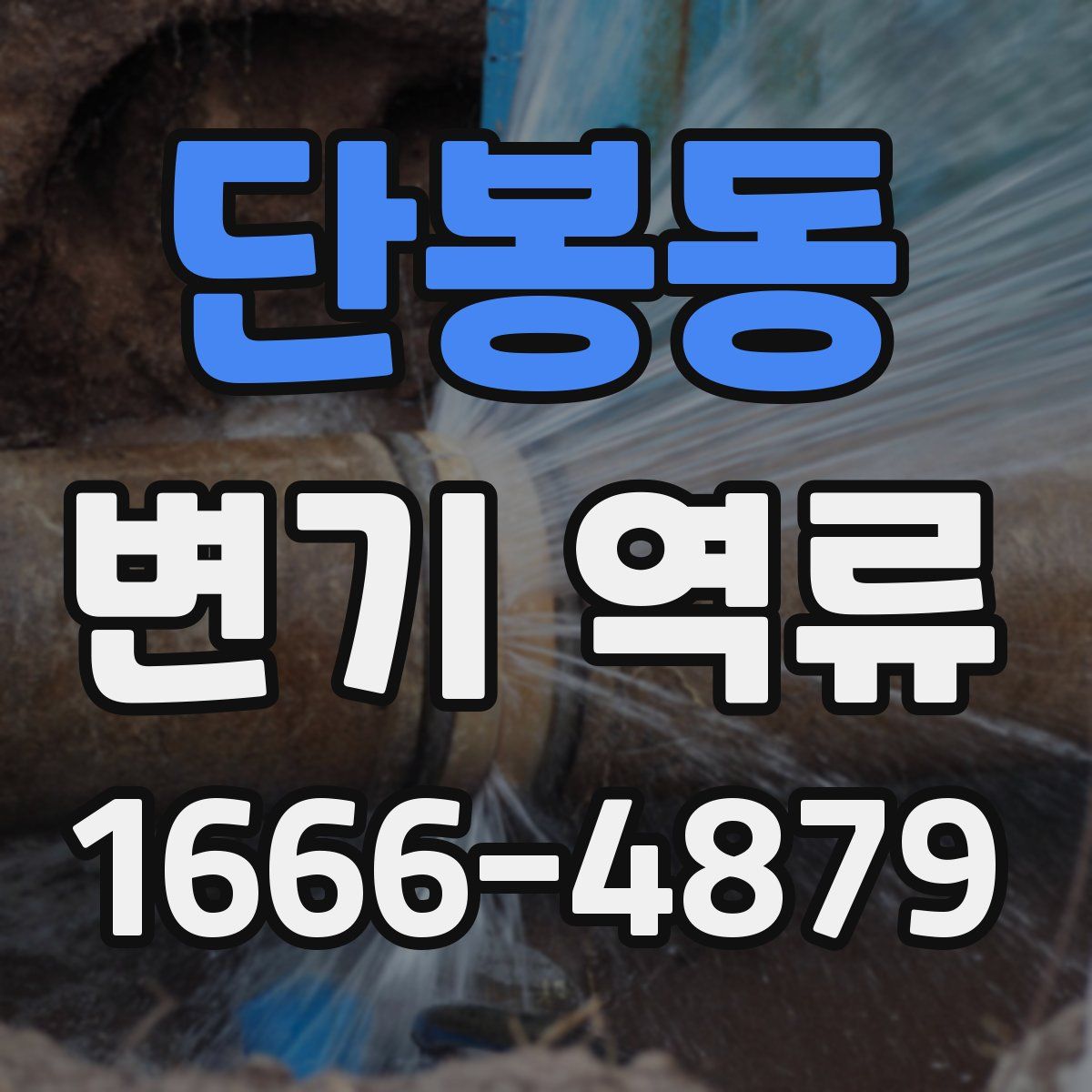 단봉동 변기 역류