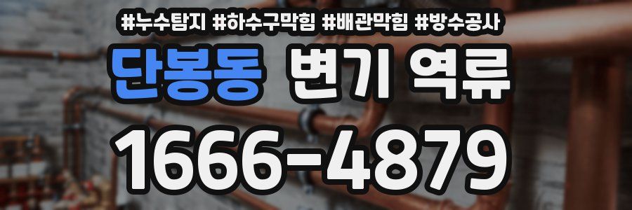 단봉동 변기 역류
