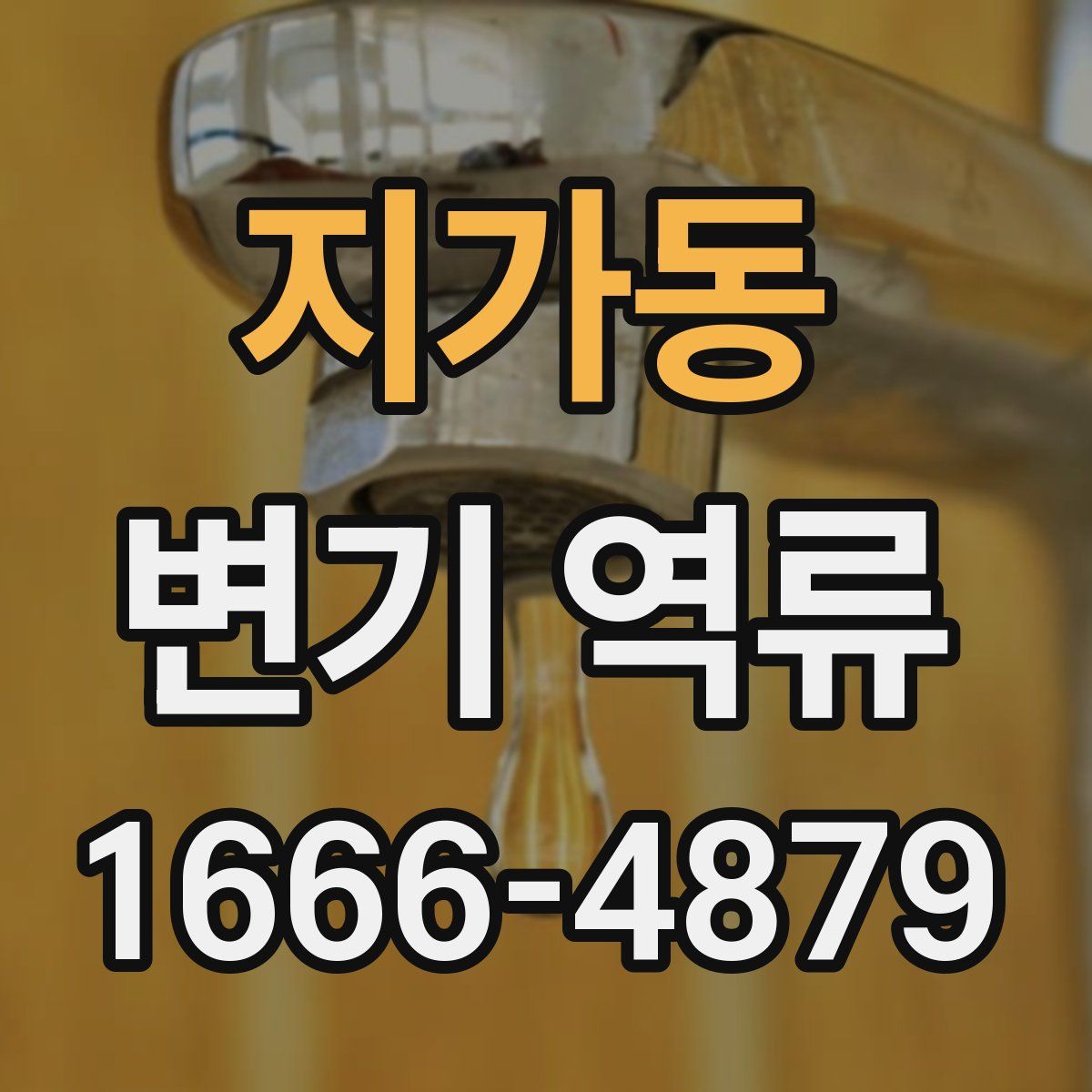 지가동 변기 역류