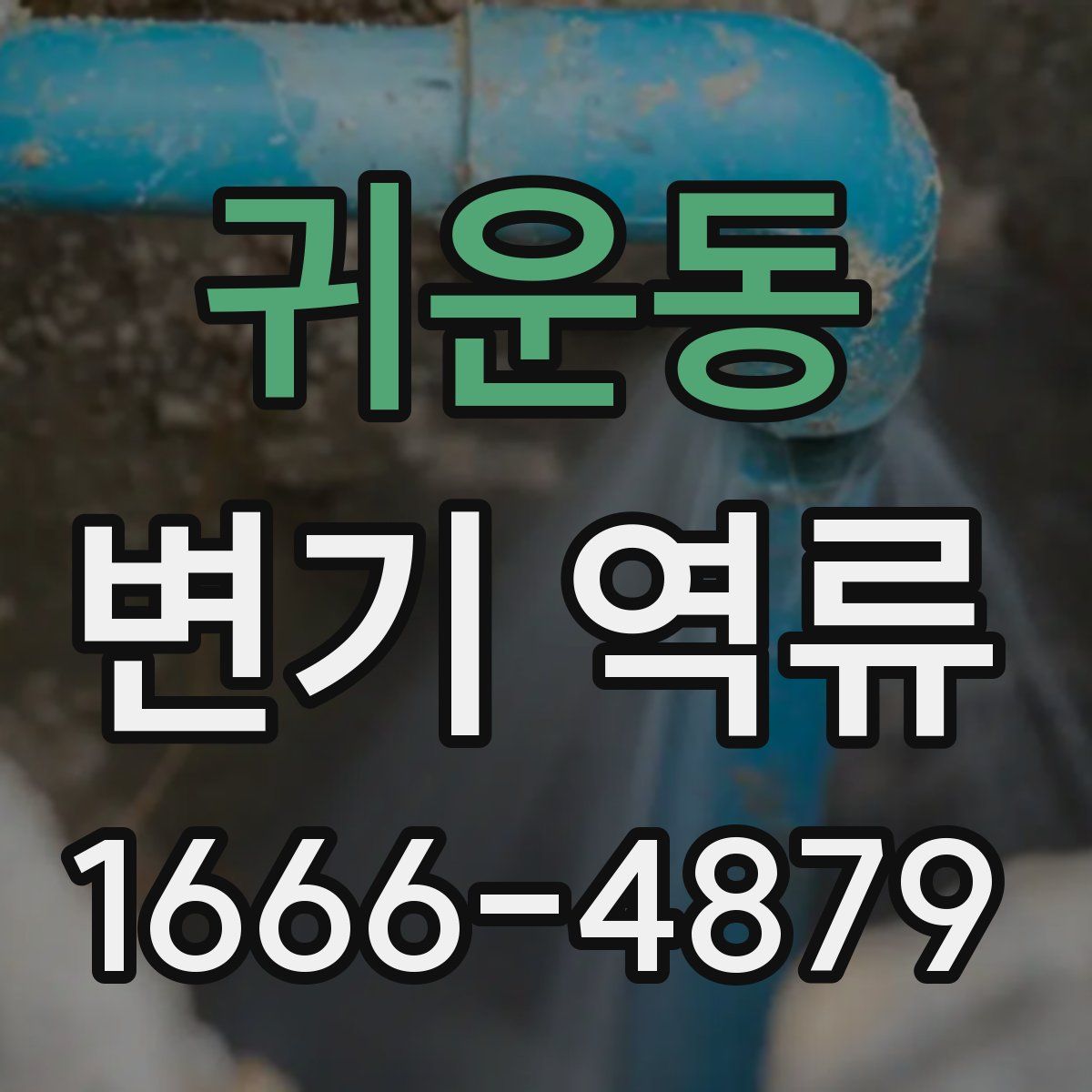 귀운동 변기 역류