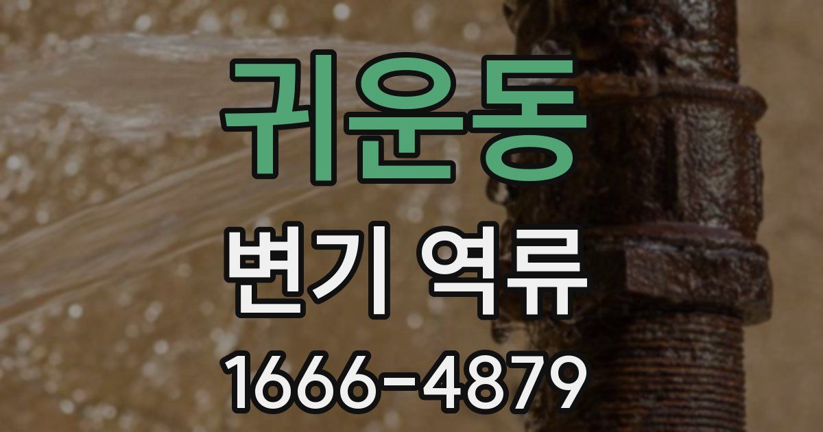 귀운동 변기 역류