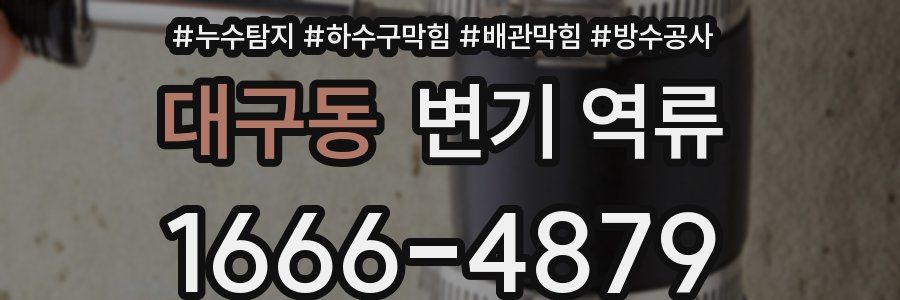 대구동 변기 역류