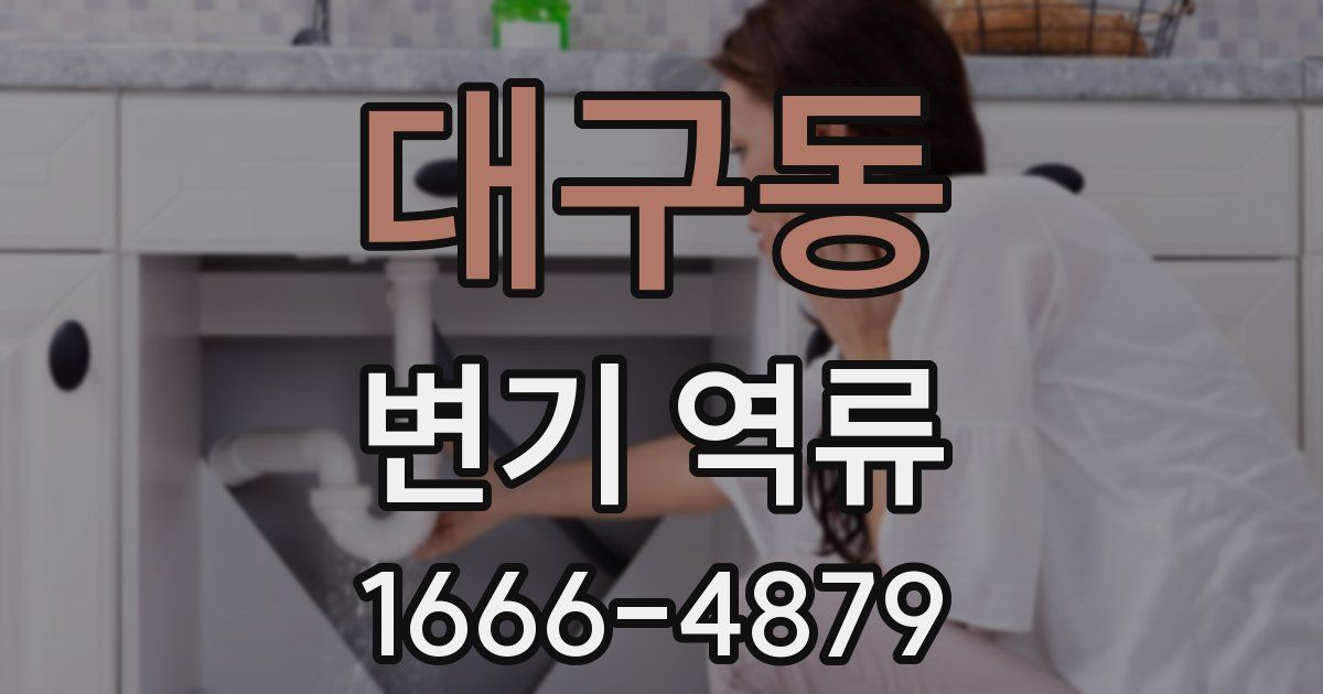 대구동 변기 역류