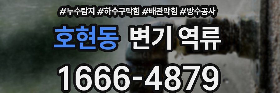 호현동 변기 역류