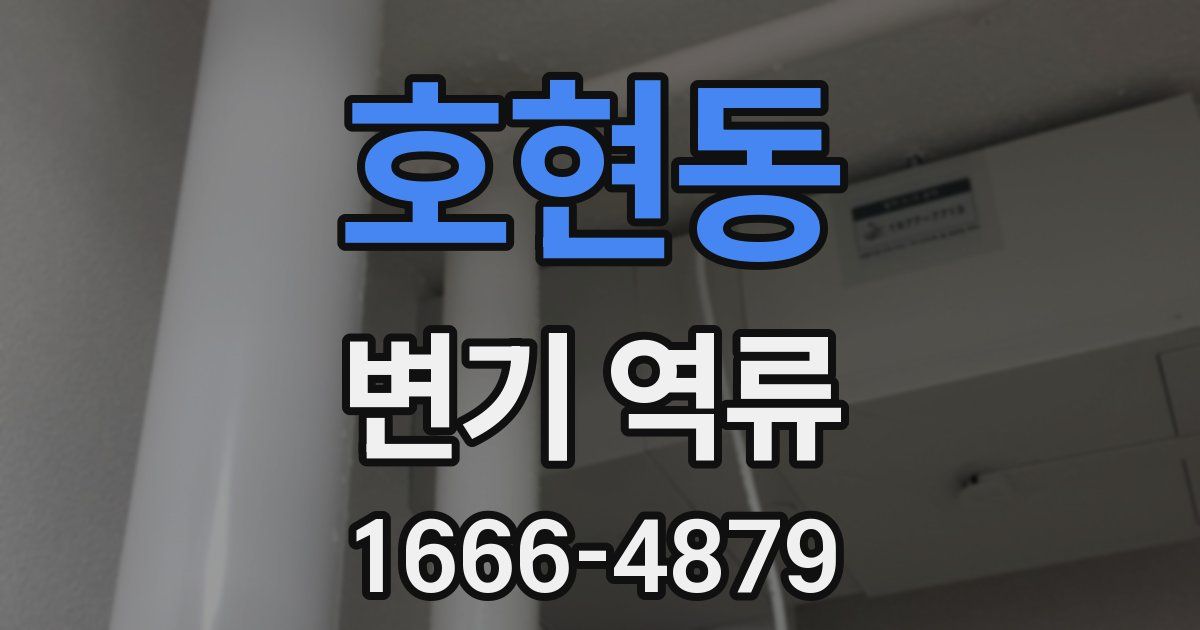 호현동 변기 역류