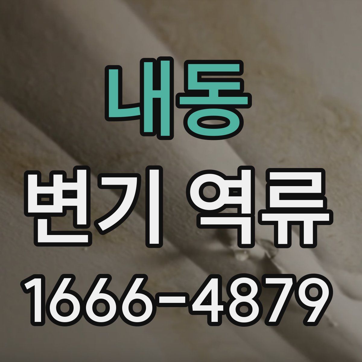 내동 변기 역류
