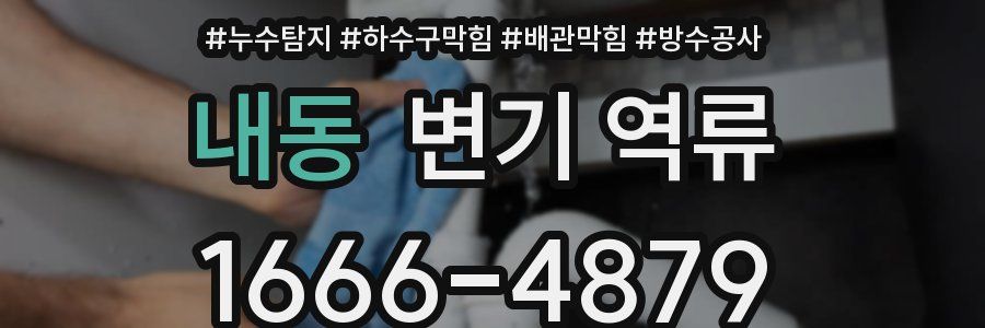 내동 변기 역류