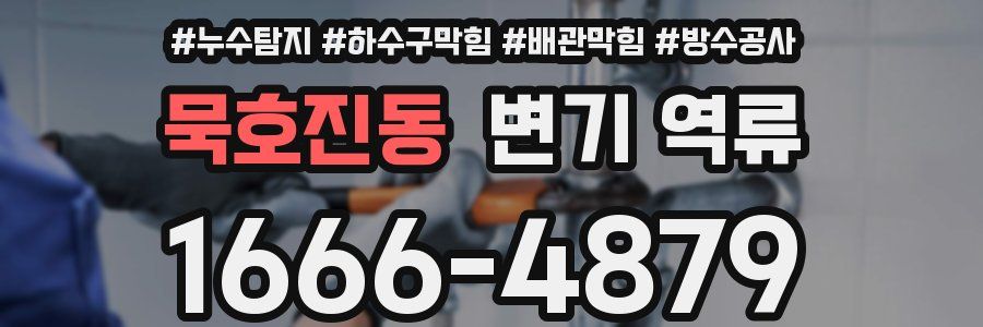 묵호진동 변기 역류
