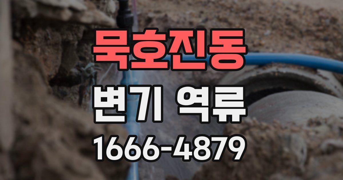 묵호진동 변기 역류