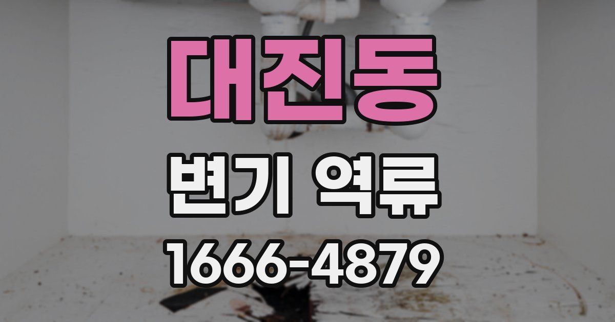 대진동 변기 역류