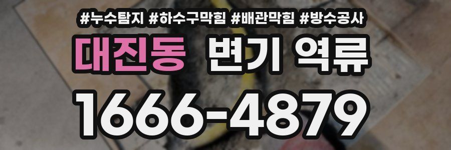 대진동 변기 역류