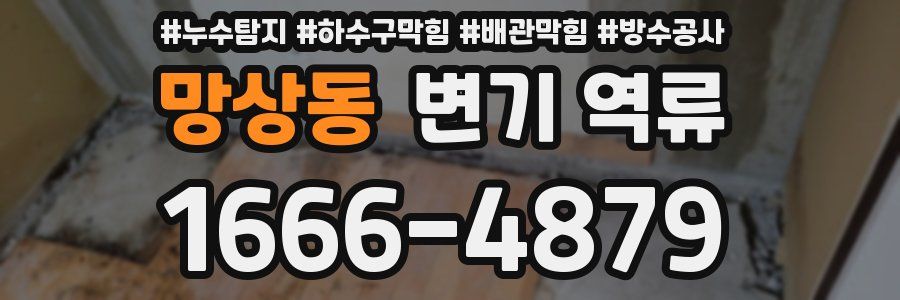 망상동 변기 역류