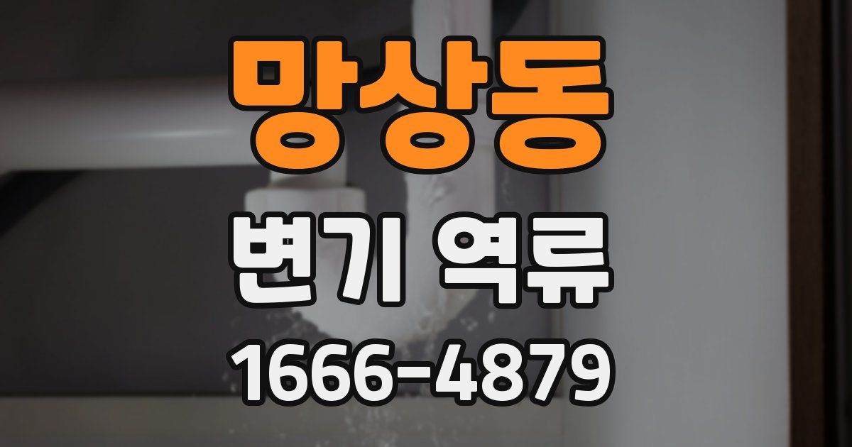 망상동 변기 역류