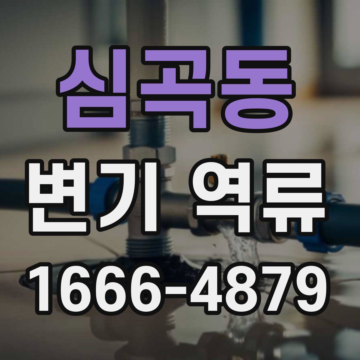 심곡동 변기 역류