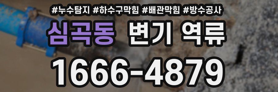 심곡동 변기 역류