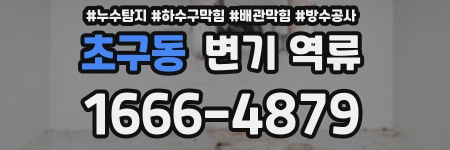 초구동 변기 역류