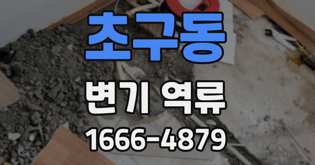초구동 변기 역류