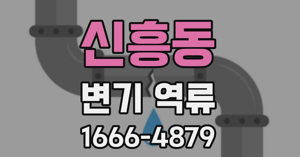 신흥동 변기 역류