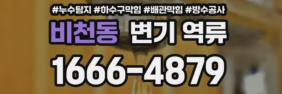 비천동 변기 역류