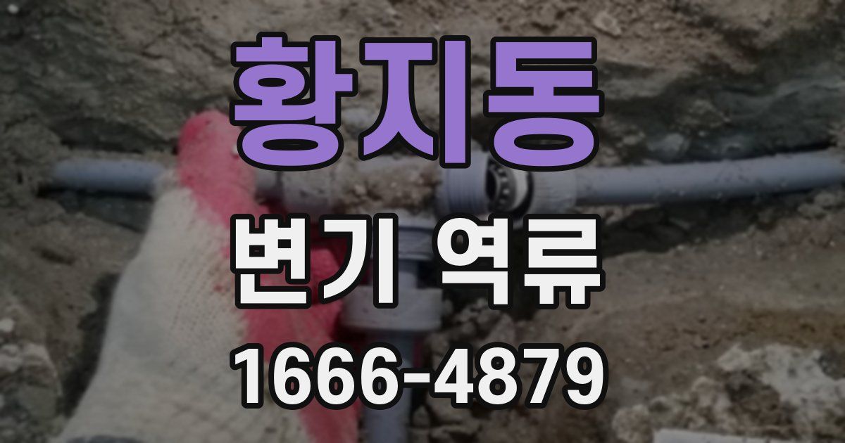 황지동 변기 역류