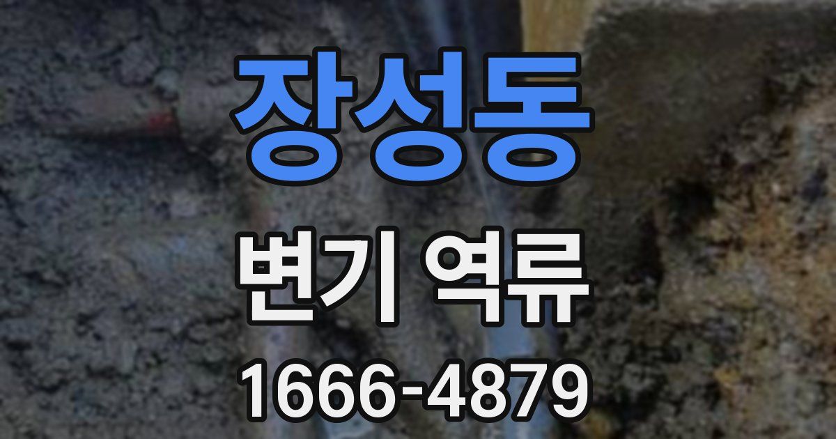 장성동 변기 역류