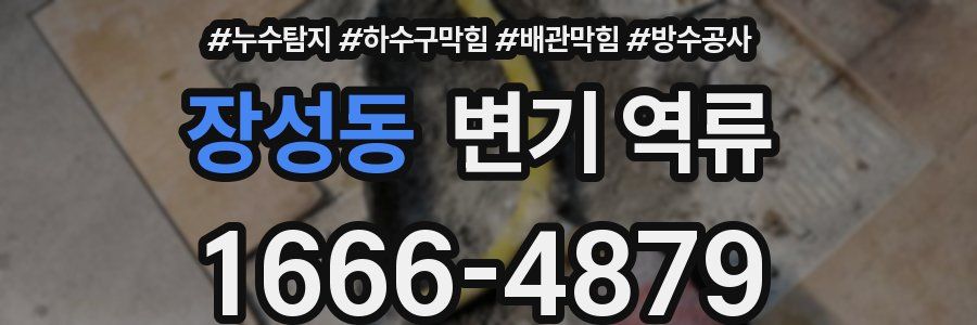장성동 변기 역류