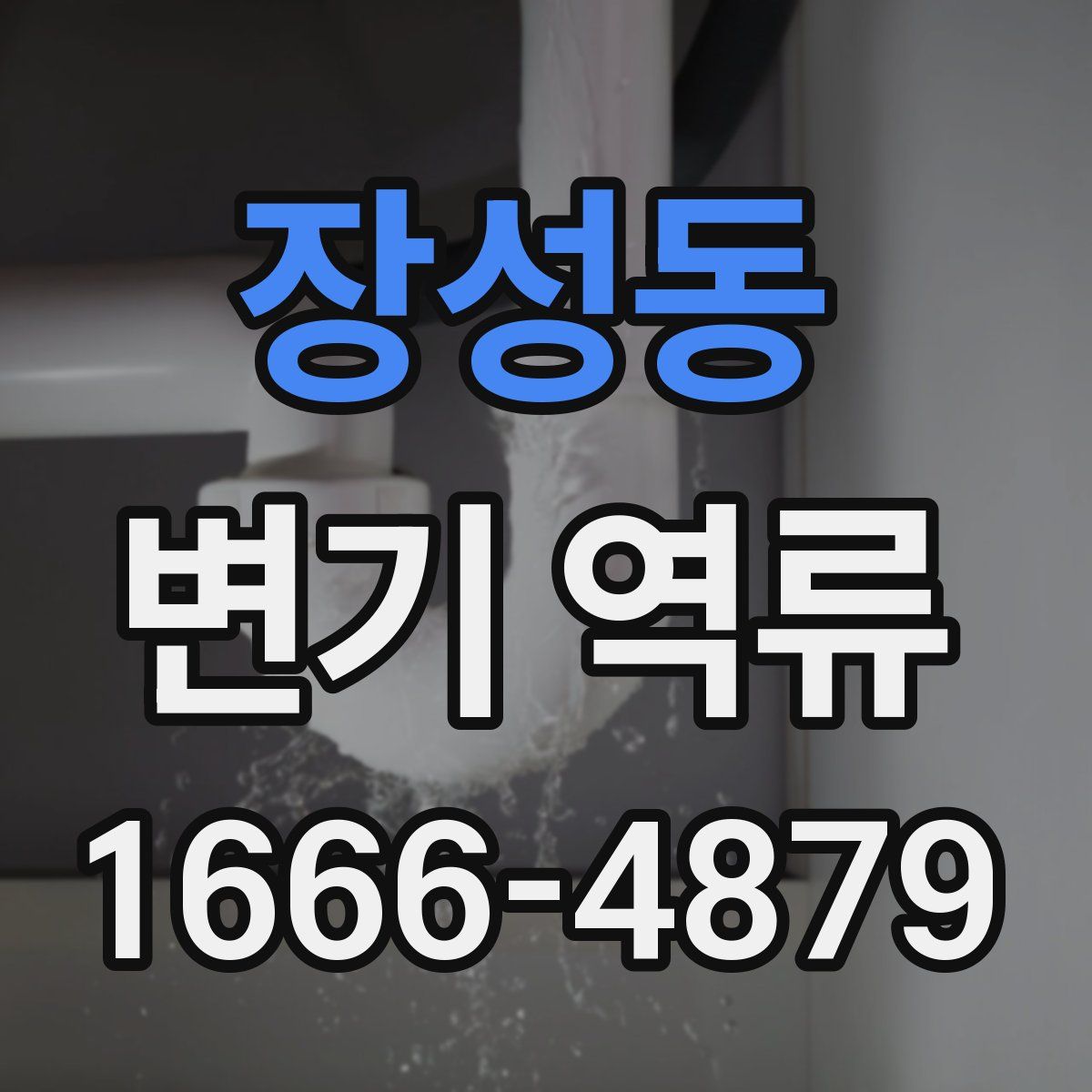장성동 변기 역류