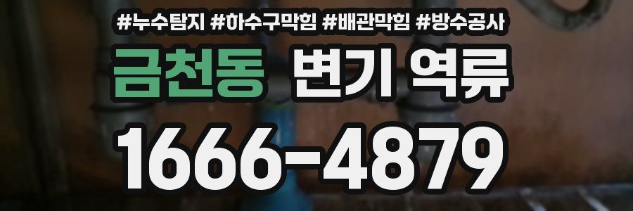 금천동 변기 역류