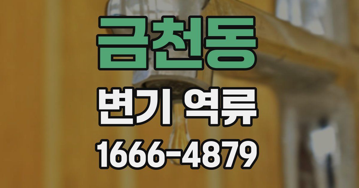 금천동 변기 역류