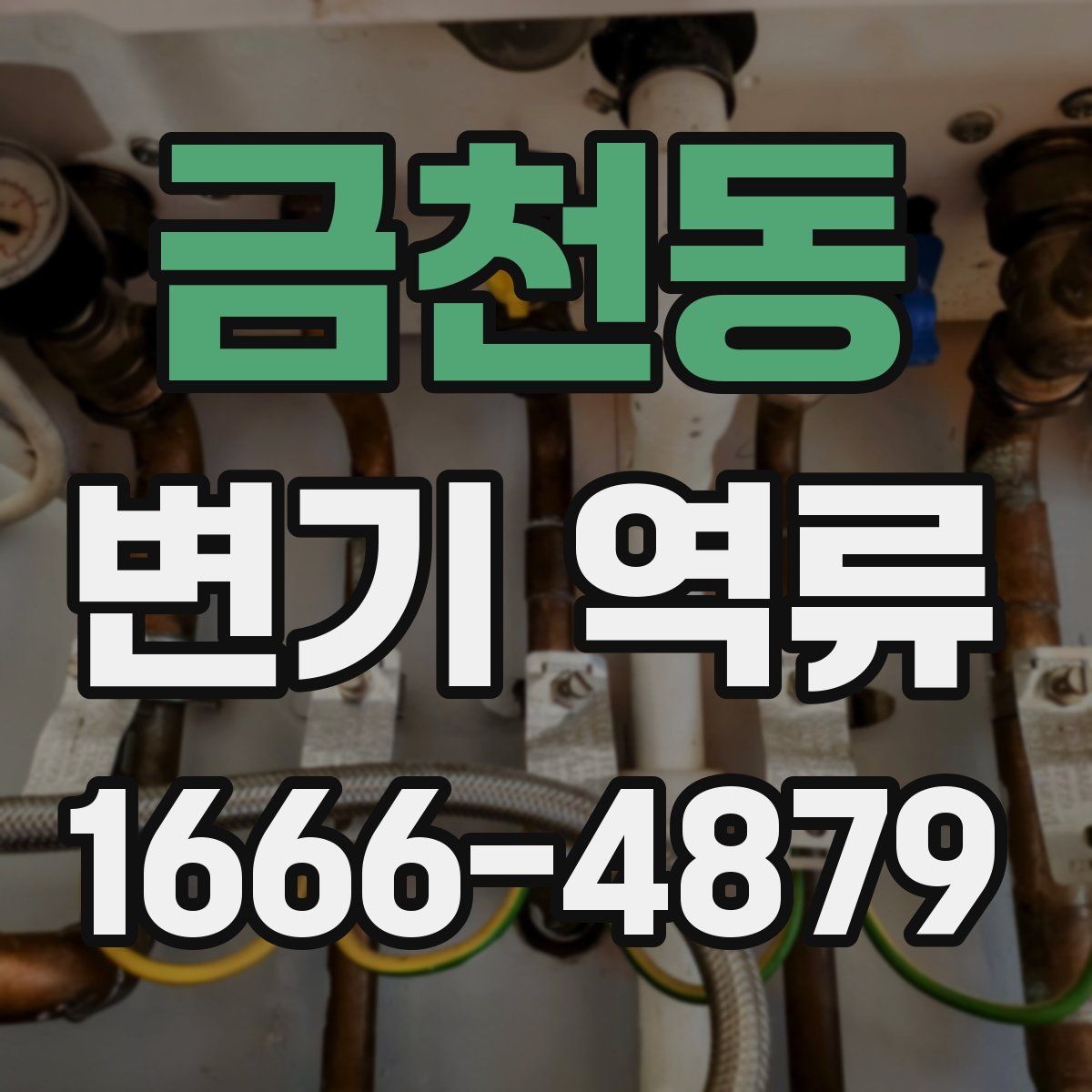 금천동 변기 역류