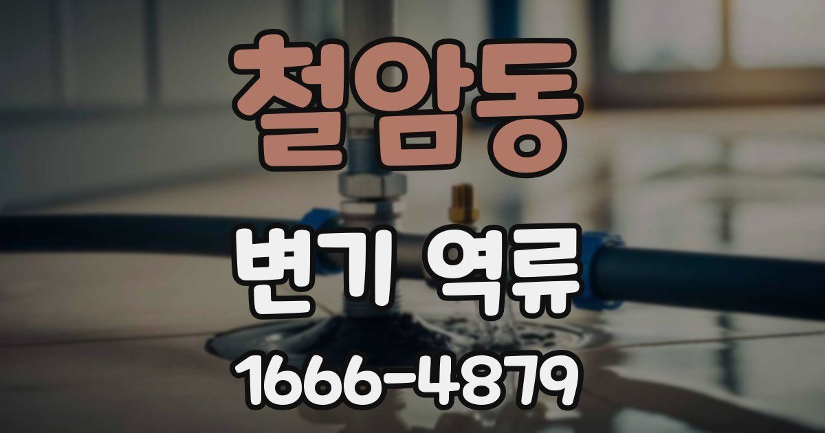 철암동 변기 역류