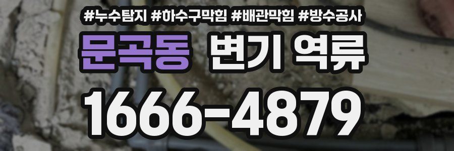 문곡동 변기 역류