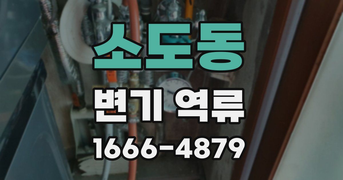 소도동 변기 역류