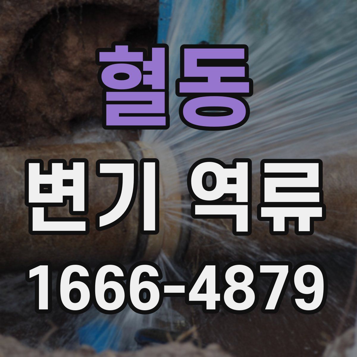 혈동 변기 역류
