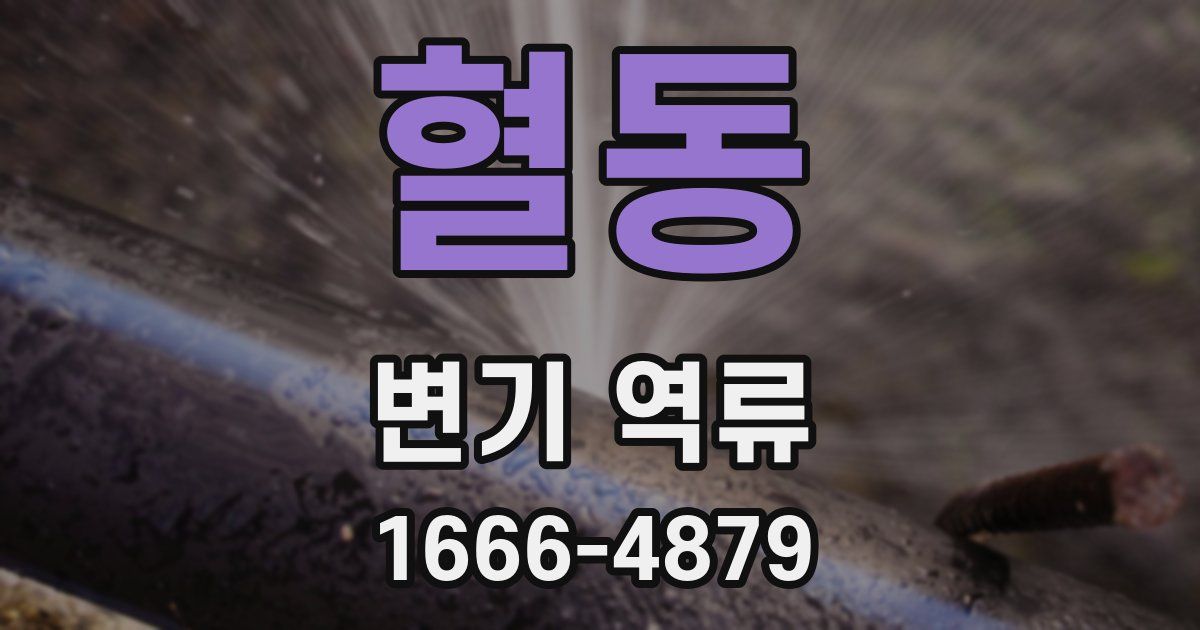 혈동 변기 역류