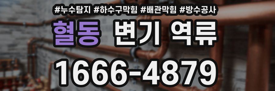 혈동 변기 역류