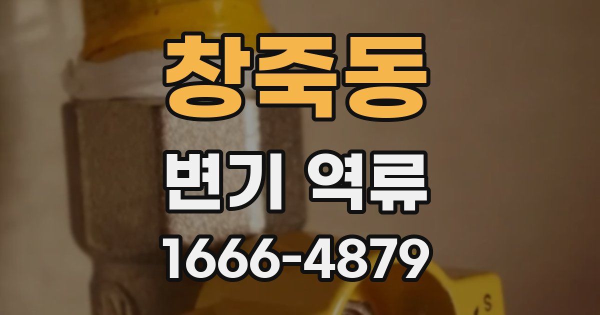 창죽동 변기 역류