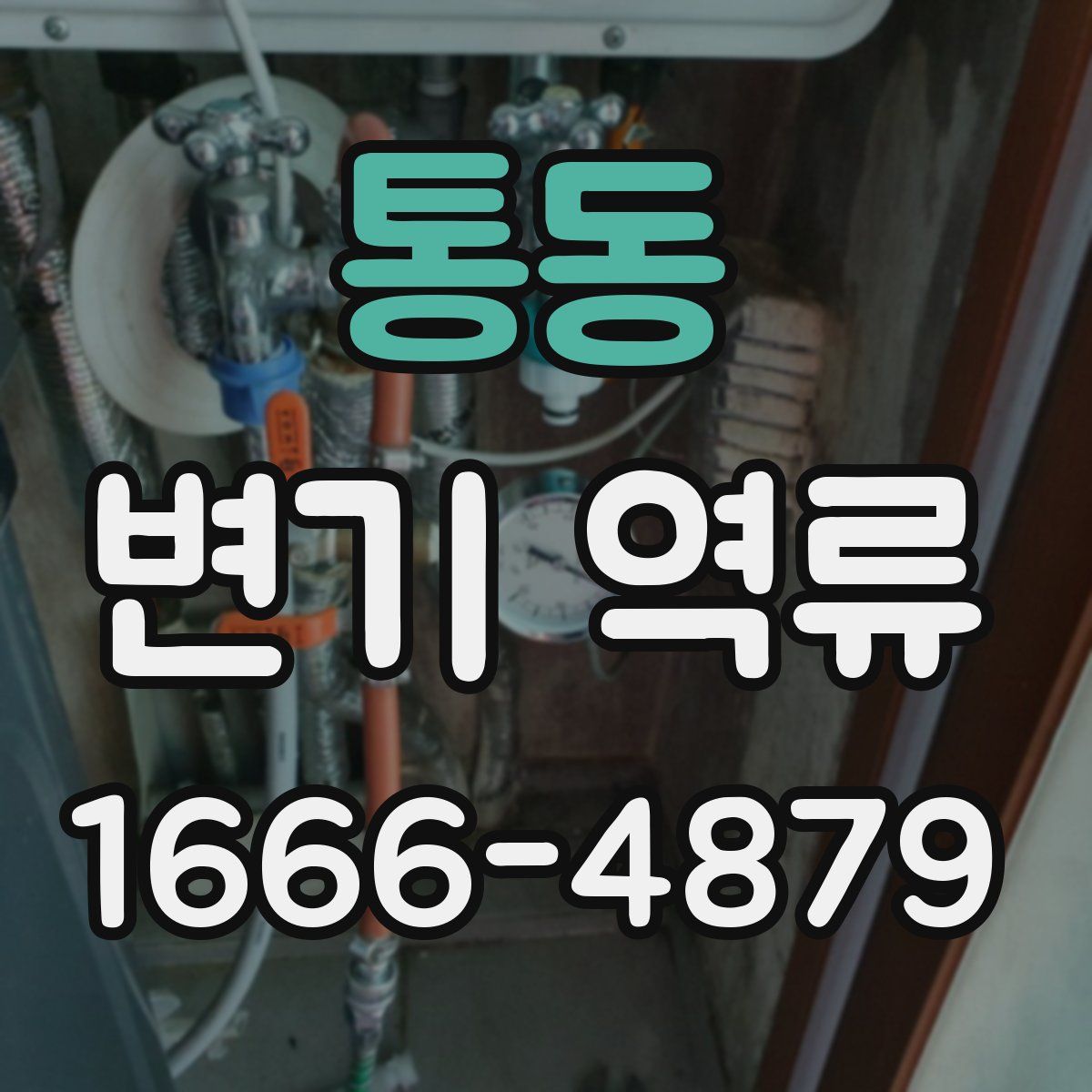 통동 변기 역류